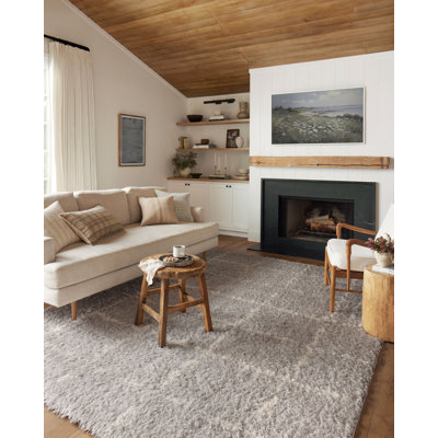 Angela Rose x Loloi Area Rugs You'll Love | Wayfair